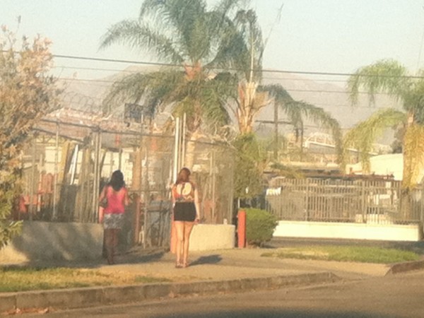 Prostitutes North Hollywood